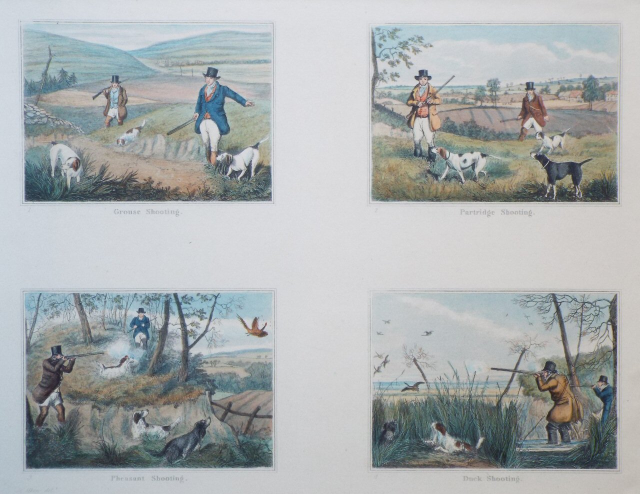 Etching - Grouse Shooting. Partridge Shooting. Pheasant Shooting. Duck Shooting. - 